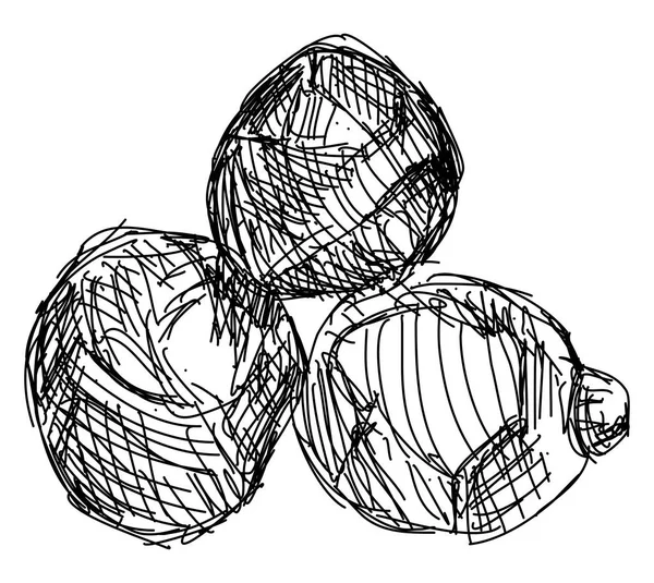 Dibujo de fruta, ilustración, vector sobre fondo blanco . — Vector de stock