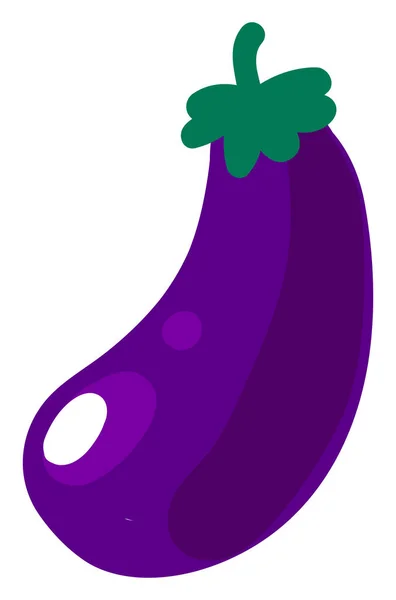 Paarse aubergine, illustratie, vector op witte achtergrond. — Stockvector