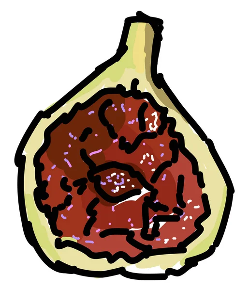 Fig púrpura, ilustración, vector sobre fondo blanco. — Vector de stock