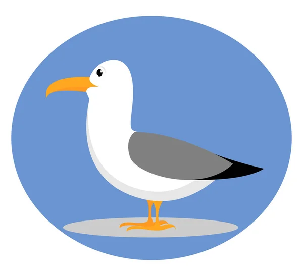Seagull, ilustracja, wektor na białym tle. — Wektor stockowy