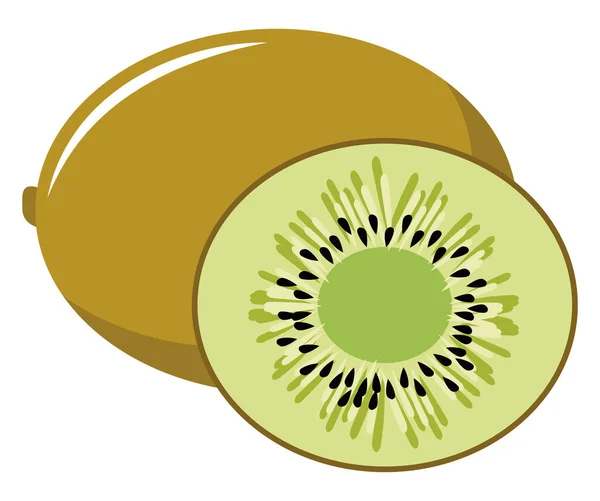 Pedaço de kiwi, ilustração, vetor sobre fundo branco . — Vetor de Stock