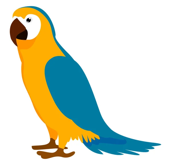 Papoušek, ilustrace, vektor na bílém pozadí. — Stockový vektor