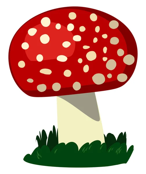 Fresh mushroom, illustration, vector on white background. — Stock Vector