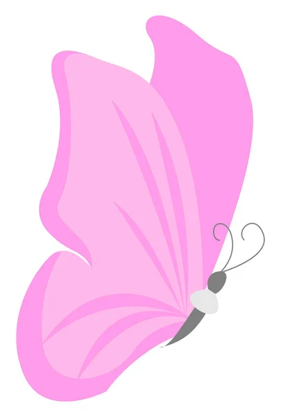 Pink butterfly, illustration, vector on white background. — Stock Vector