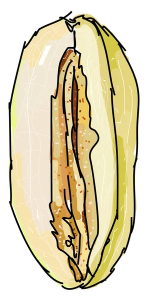 Melon persan, illustration, vecteur sur fond blanc . — Image vectorielle