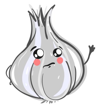 Üzgün sarımsak, illüstrasyon, beyaz arka plan vektör.