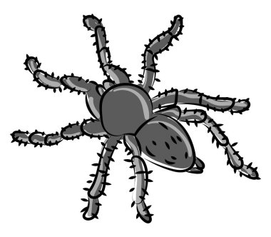 Black spider, illustration, vector on white background.