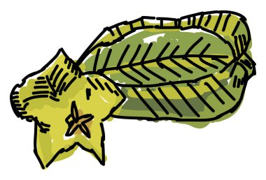 Yıldız meyvesi, illüstrasyon, beyaz arka plan üzerinde vektör.