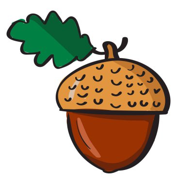 Meşe palamudu, illüstrasyon, beyaz arka plan üzerinde vektör.