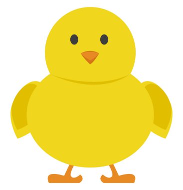 Sarı piliç, illüstrasyon, beyaz arkaplanda vektör.