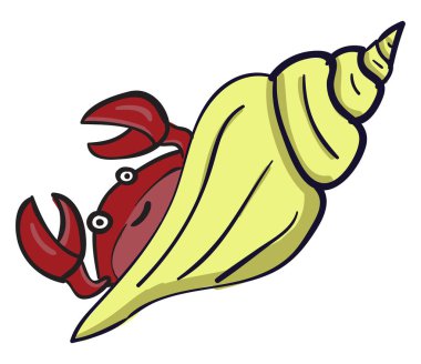 Salyangozlu yengeç, illüstrasyon, beyaz arka plan üzerinde vektör.