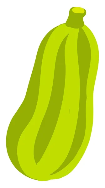 Zucchini datar, ilustrasi, vektor pada latar belakang putih . - Stok Vektor