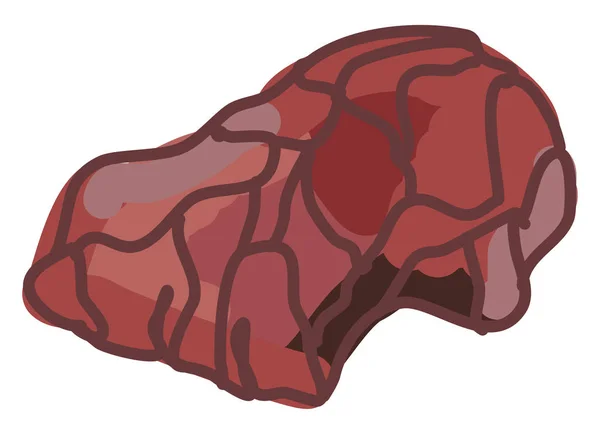 Bone chuck roast, illustration, vector on white background. — Stock Vector