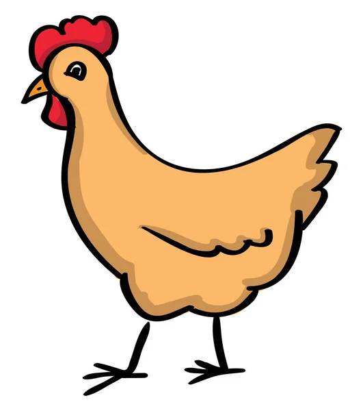 Chicken, illustration, vector on white background. — Stock Vector