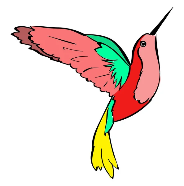 Colibri, illustrazione, vettore su sfondo bianco . — Vettoriale Stock