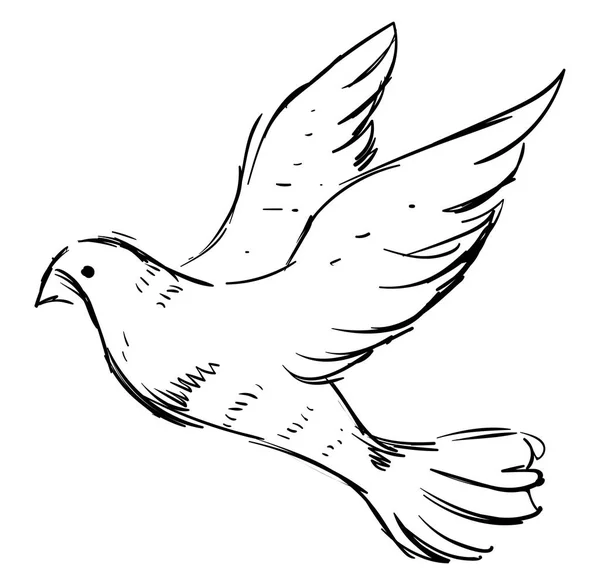 Paloma blanca, ilustración, vector sobre fondo blanco . — Vector de stock