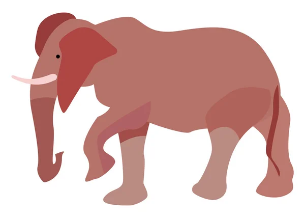 Elefante grande, ilustración, vector sobre fondo blanco . — Vector de stock