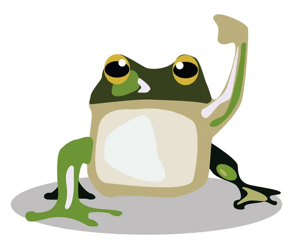Зелена жаба, ілюстрація, вектор на білому тлі . — стоковий вектор