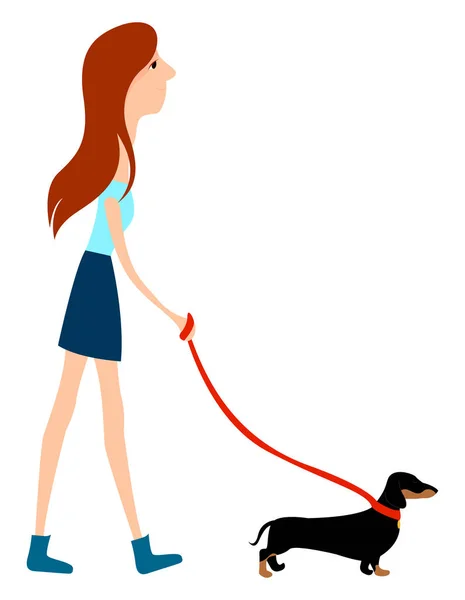 Κορίτσι περπάτημα σκυλί, εικόνα, διάνυσμα σε λευκό φόντο. — Διανυσματικό Αρχείο