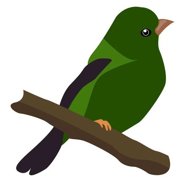 Zelený pták, ilustrace, vektor na bílém pozadí. — Stockový vektor