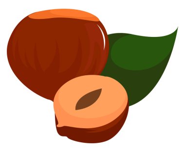 Somunlar, illüstrasyon, beyaz arka plan üzerinde vektör.