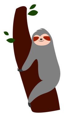 Uyuyan tembel hayvan, illüstrasyon, beyaz arkaplandaki vektör.