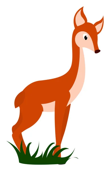 Little fawn, illustration, vektor på vit bakgrund. — Stock vektor