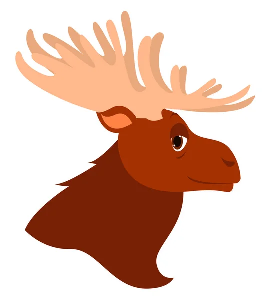 Moose hlava, ilustrace, vektor na bílém pozadí. — Stockový vektor