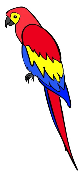 Papuga, ilustracja, wektor na białym tle. — Wektor stockowy