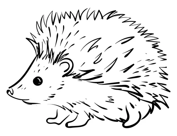 Small hedgehog, illustration, vector on white background. — Stock Vector