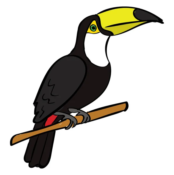 Toucan pták, ilustrace, vektor na bílém pozadí. — Stockový vektor