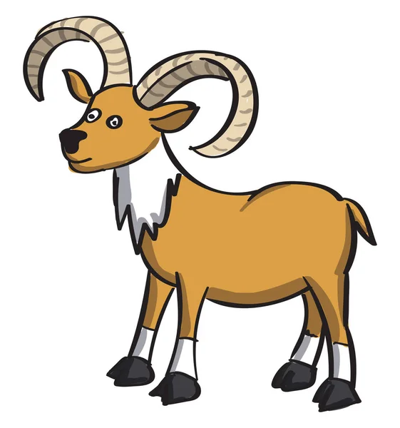 Wild goat, illustration, vector on white background. — Stock Vector