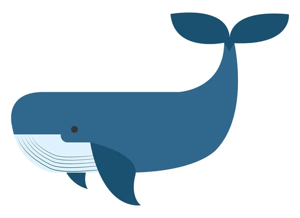 Baleia azul, ilustração, vetor sobre fundo branco. — Vetor de Stock