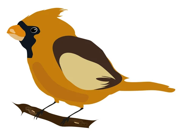 Pájaro amarillo, ilustración, vector sobre fondo blanco . — Vector de stock