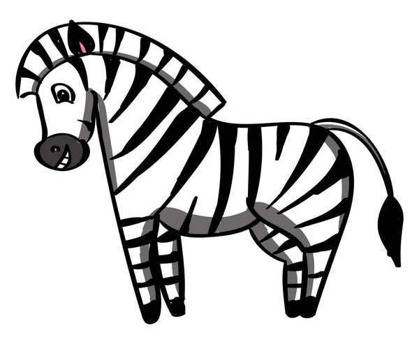 Happy Zebra, illustration, vektor på vit bakgrund. — Stock vektor