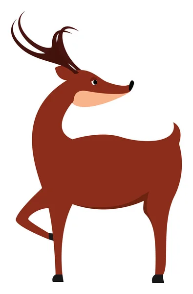 Adult deer, illustration, vector on white background. — Stock Vector