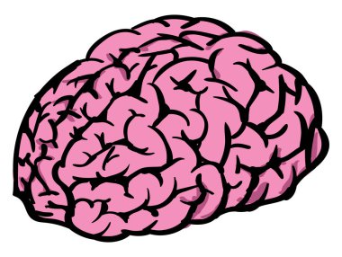 İnsan beyni, illüstrasyon, beyaz arka plan vektör.