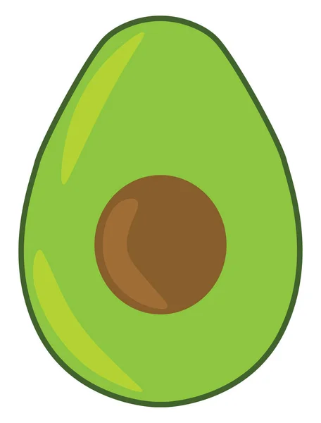 Avocado, Illustration, Vektor auf weißem Hintergrund. — Stockvektor