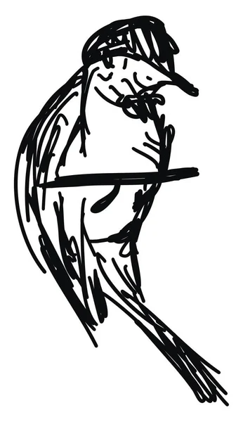 Pájaro en rama, ilustración, vector sobre fondo blanco . — Vector de stock