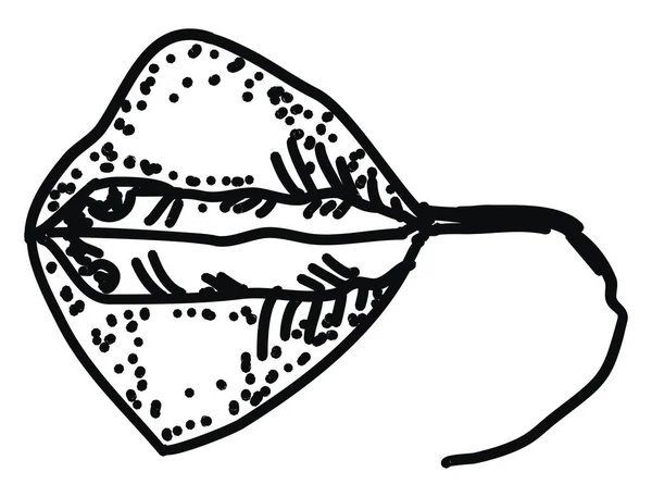Stringray poisson, illustration, vecteur sur fond blanc . — Image vectorielle