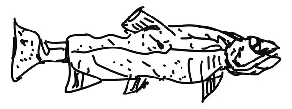 魚のスケッチ、イラスト、白い背景のベクトル. — ストックベクタ