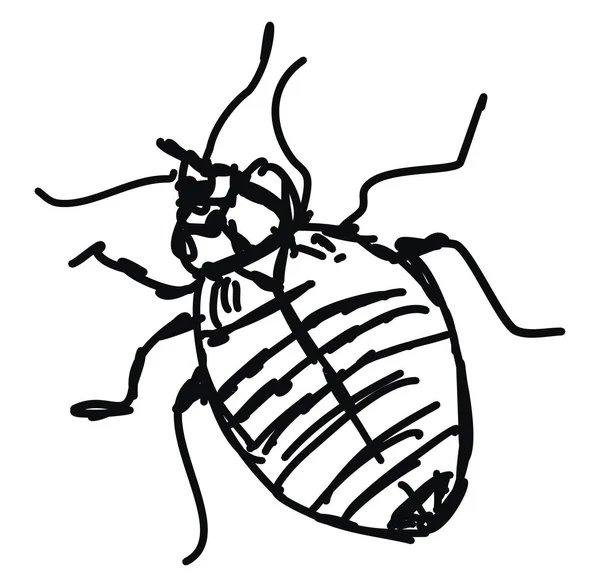 Bug skiss, illustration, vektor på vit bakgrund. — Stock vektor