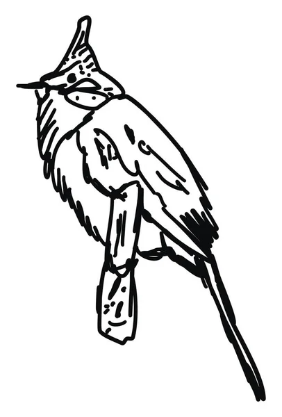 Croquis d'oiseau, illustration, vecteur sur fond blanc . — Image vectorielle