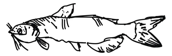 Эскиз рыбы, иллюстрация, вектор на белом фоне . — стоковый вектор