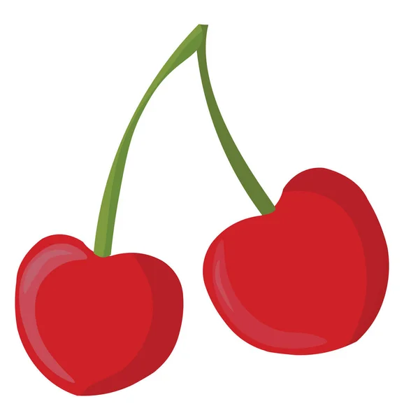 Cherry, illustration, vector on white background. — Stock Vector