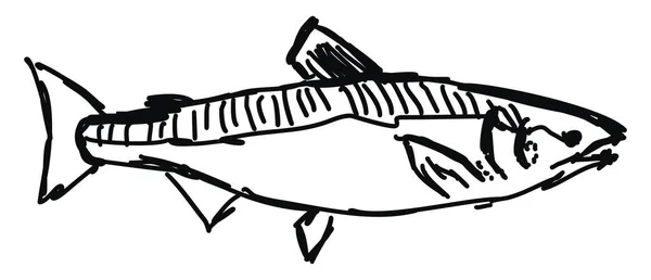Ryba szkic, ilustracja, wektor na białym tle. — Wektor stockowy