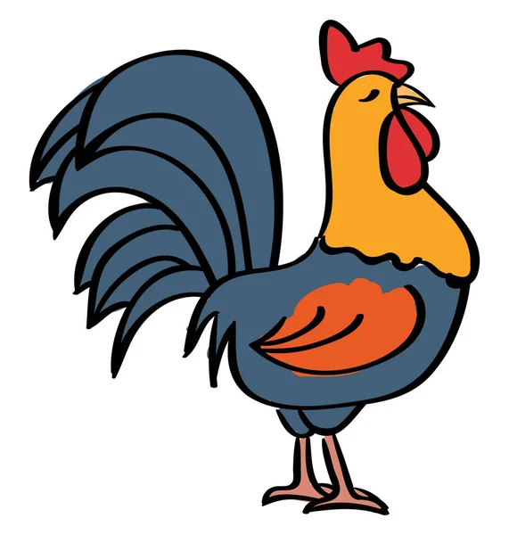 Gallo, ilustración, vector sobre fondo blanco . — Vector de stock