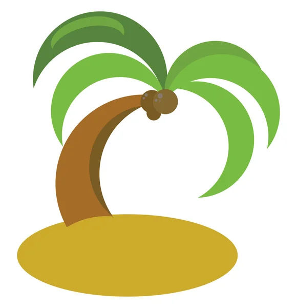 Árbol de coco, ilustración, vector sobre fondo blanco . — Vector de stock