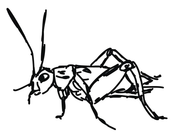 Esboço de Bug, ilustração, vetor no fundo branco . — Vetor de Stock