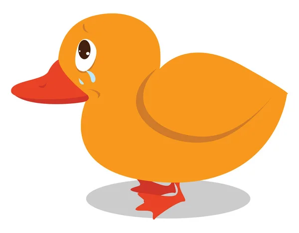 Canard pleureur, illustration, vecteur sur fond blanc . — Image vectorielle